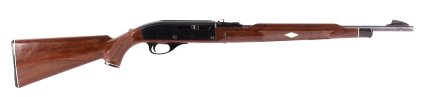 Remington Nylon 66